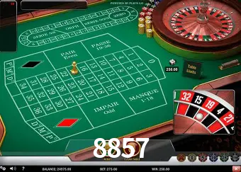 VIP Casino 8857